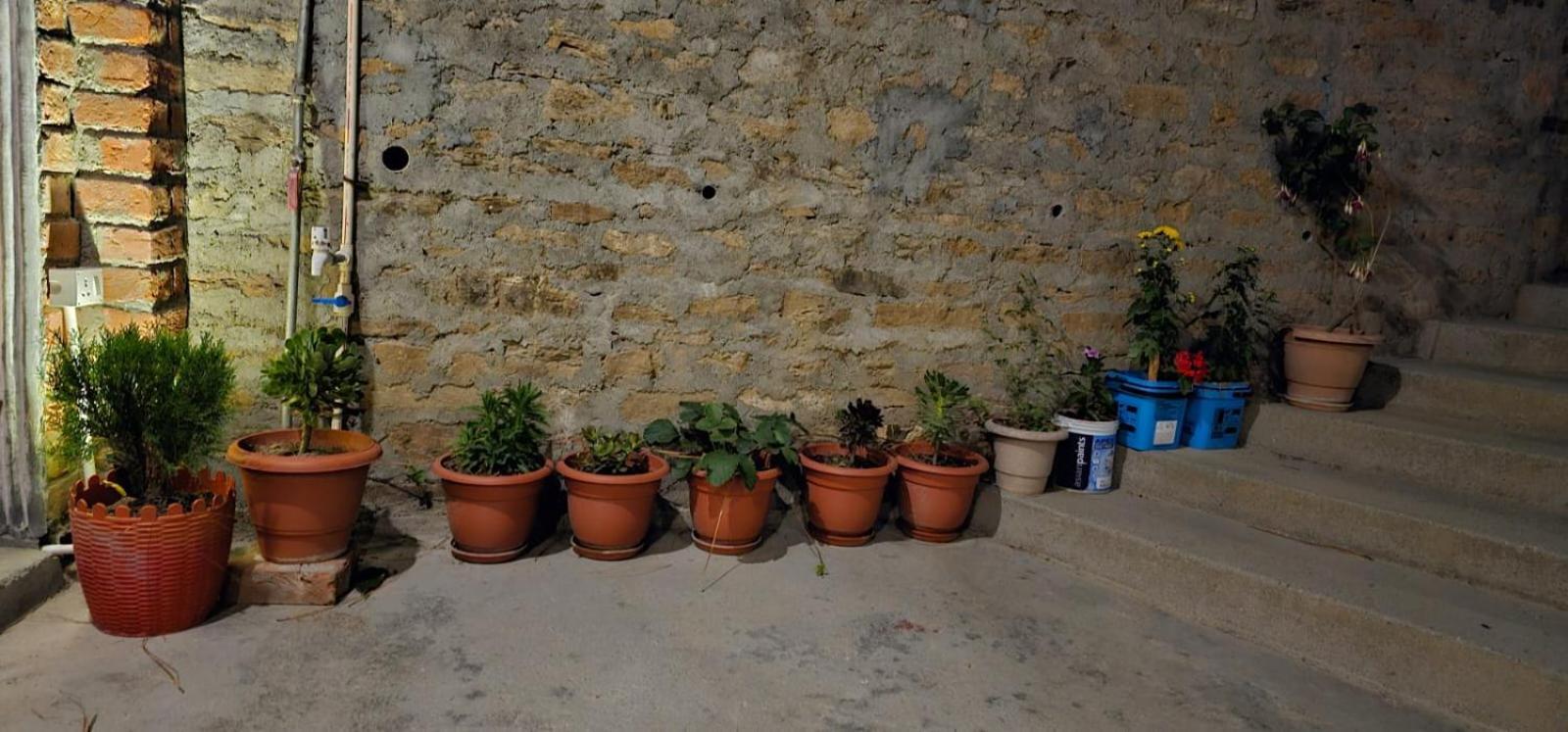 Golden Himalaya Homestay Kausani Luaran gambar
